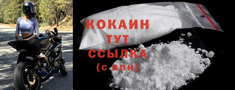 Cocaine FishScale  закладки  Козельск 